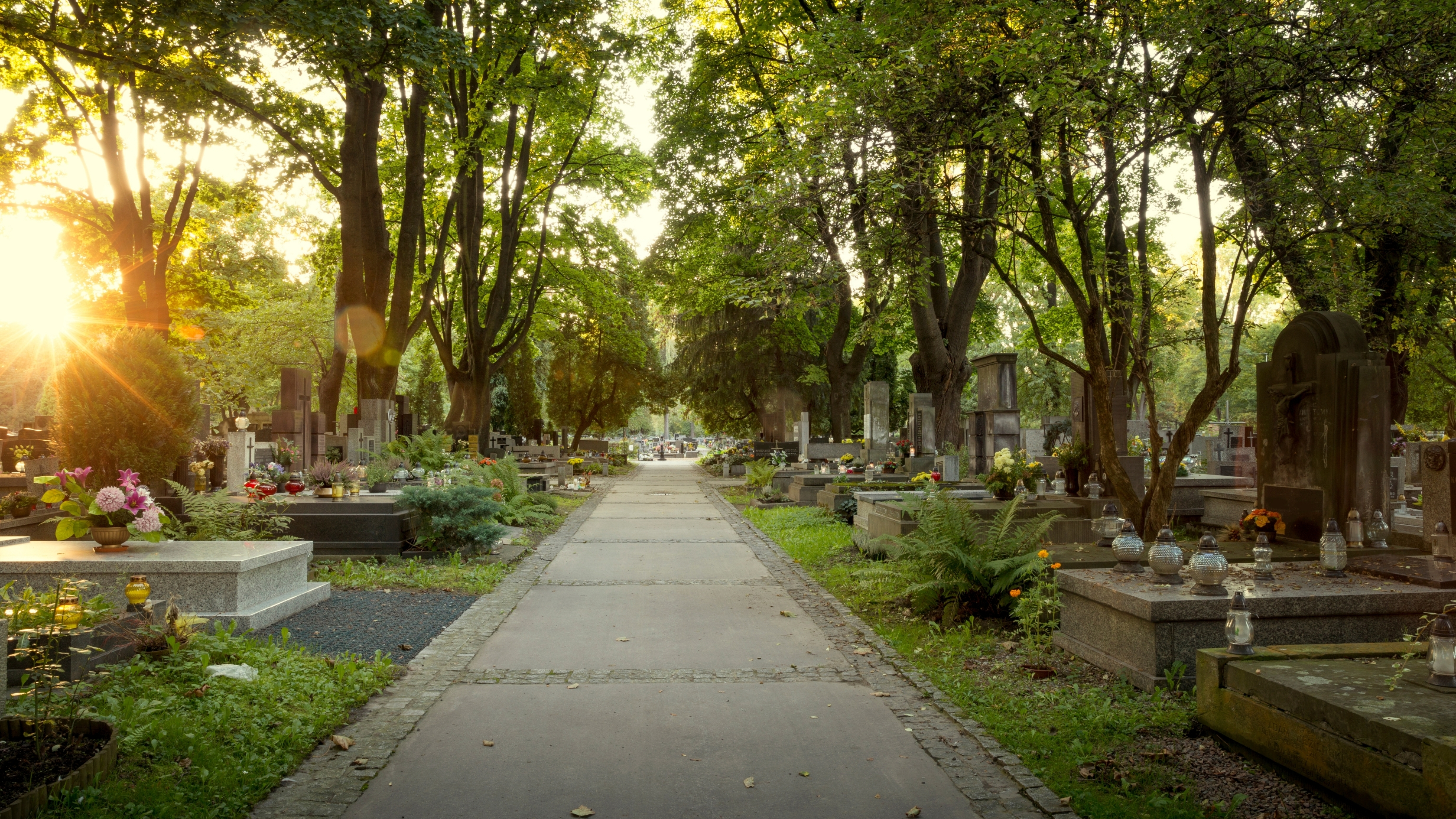 Ruhiger Friedhofsweg mit Grabmalen im Abendlicht